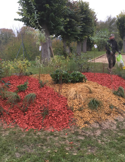 COULEURS-ET-PAYSAGES-PLANTATION-MASSIF-APRES