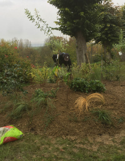 COULEURS-ET-PAYSAGES-PLANTATION-MASSIF-PENDANT