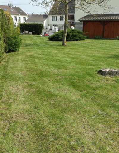 COULEURS-ET-PAYSAGES-SCARIFICATION