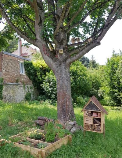 COULEURS-ET-PAYSAGES-VILLE-DE-LAON-JARDIN-EPHEMERE-8